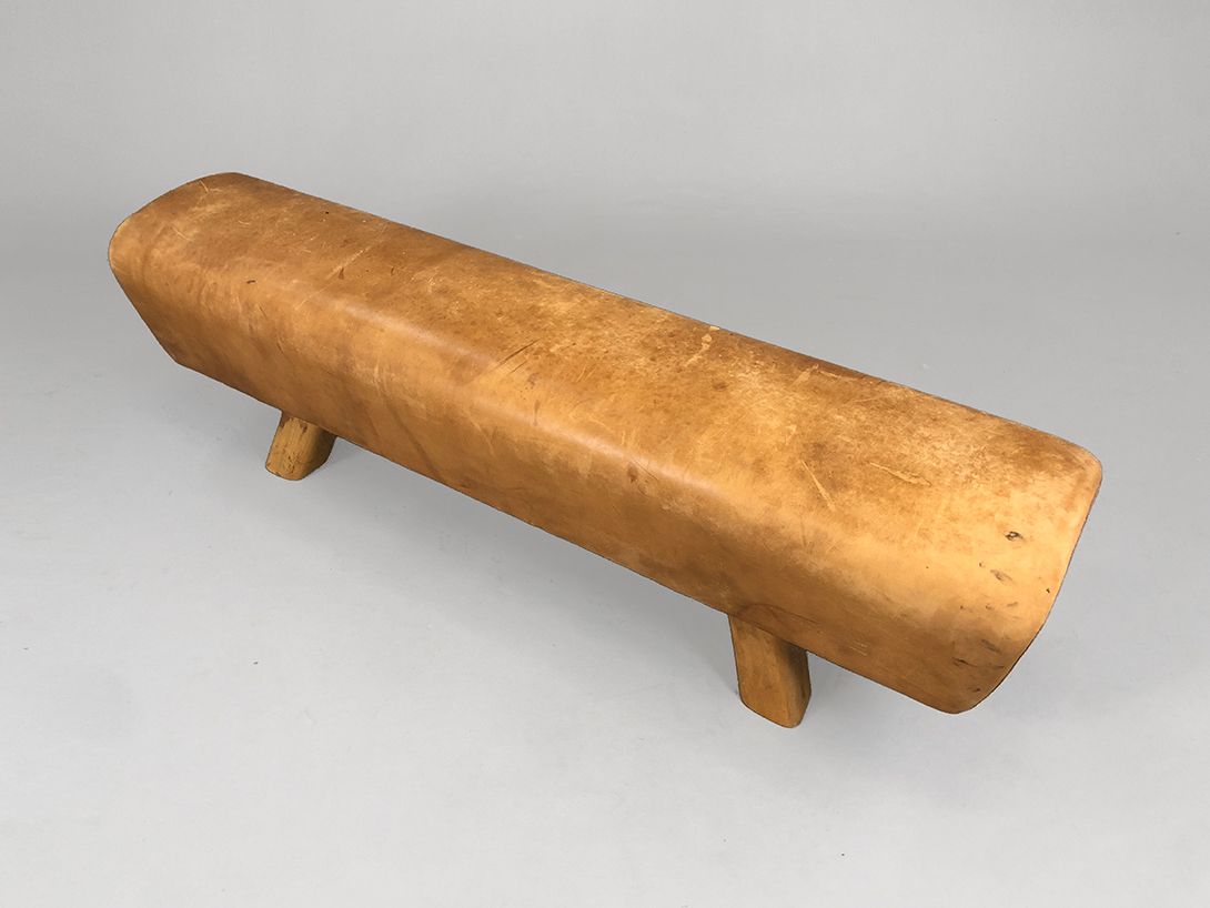 Foto Sports Horse Bench h44x164