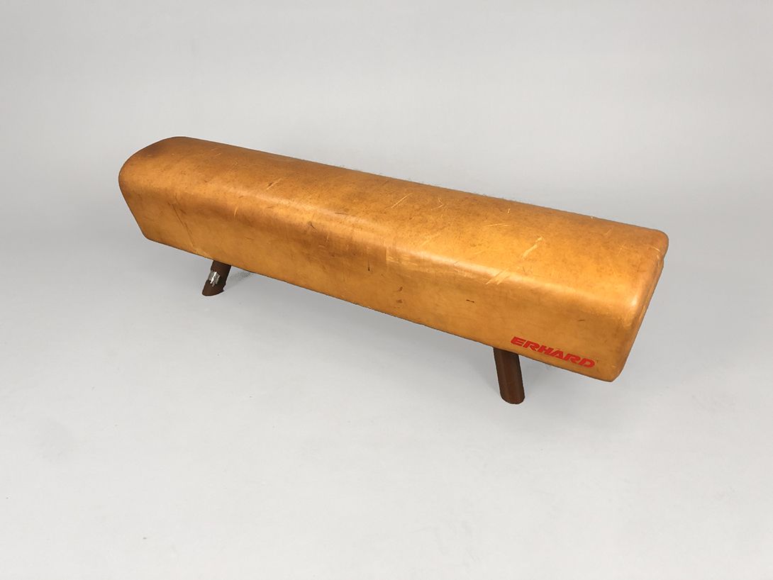 Foto Erhard Sport Horse Bench h45x158x34