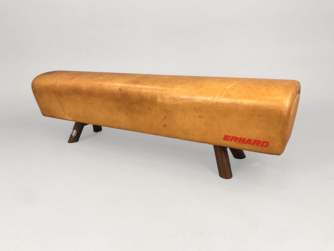 Foto Erhard Sport Horse Bench h45x158x34