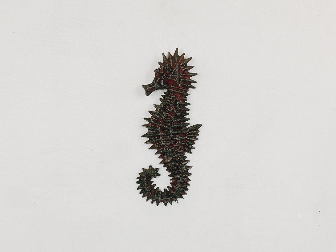 Foto Green Red Sea Horse