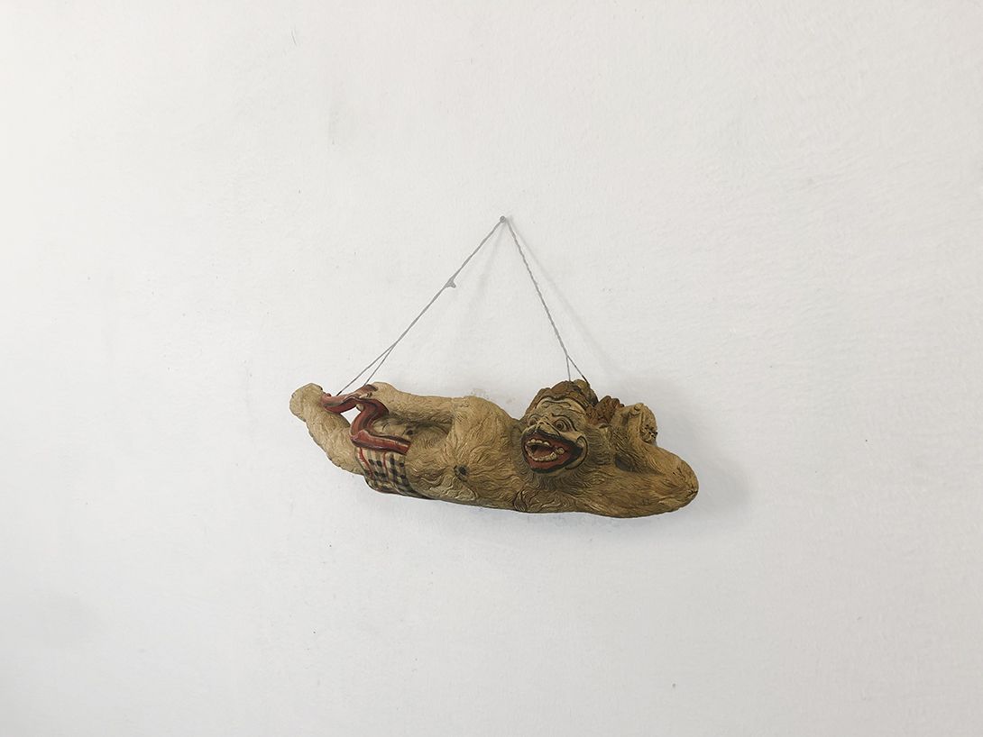 Foto Recumbent Monkey