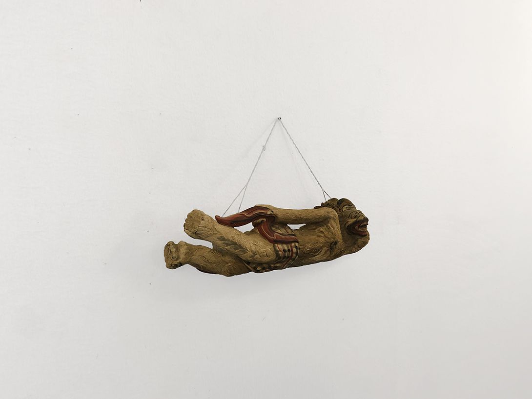Foto Recumbent Monkey