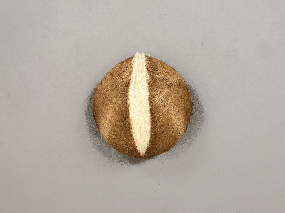 Foto Round Hide Pillow ø29
