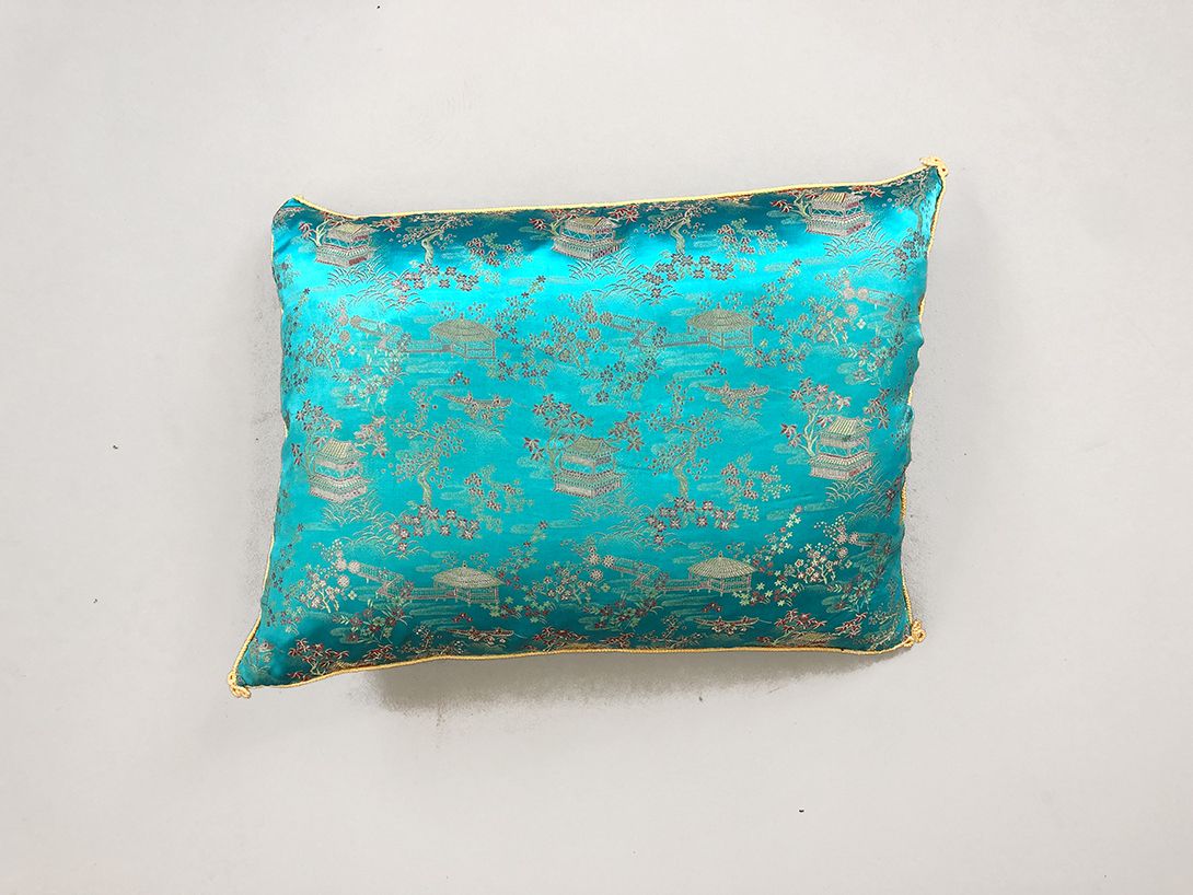 Foto Asian turquoise Velvet Pillow h43x47