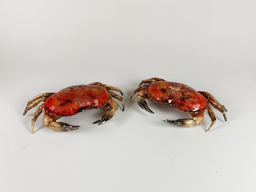 Foto Red Crab Imitation h5x32x20
