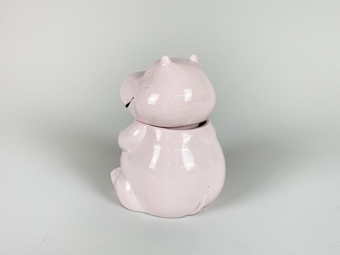Foto Baby Pink Porcelain Hippo