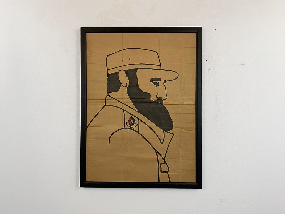 Foto Fidel Castro on Cardboard 38B7