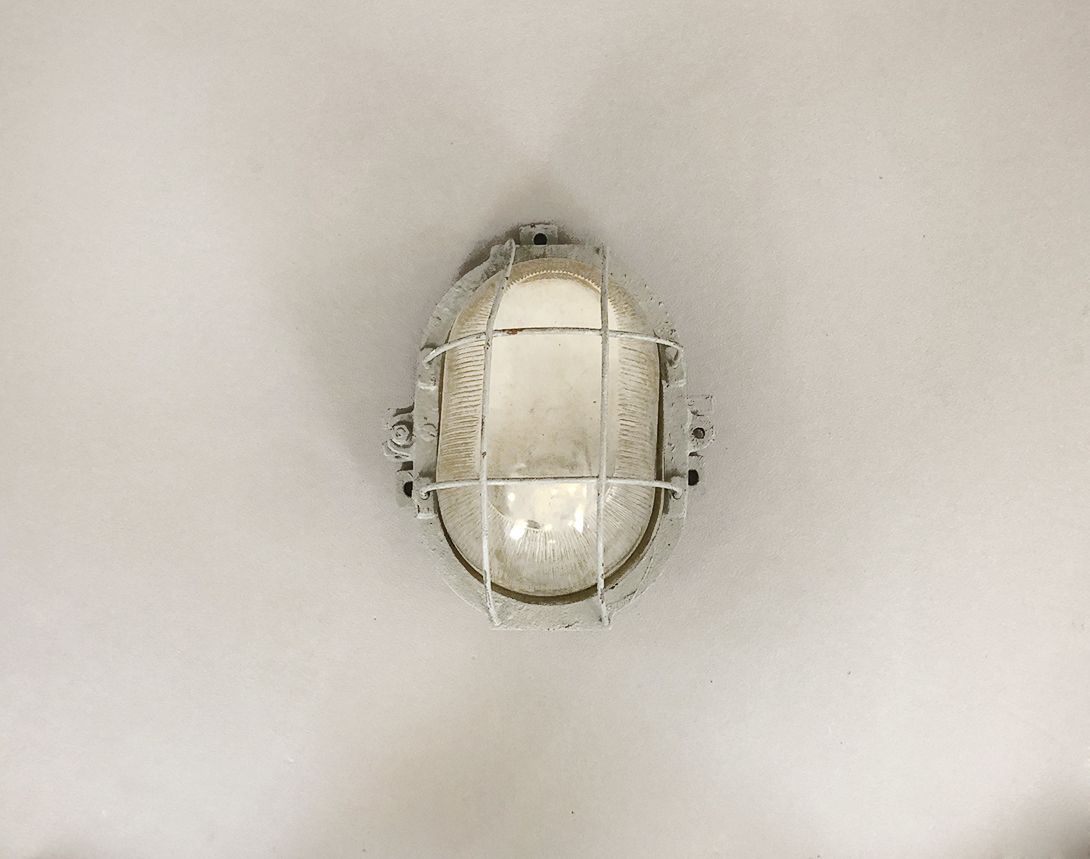 Foto Industrial Metal Caged Turtle Wall Lamp h30