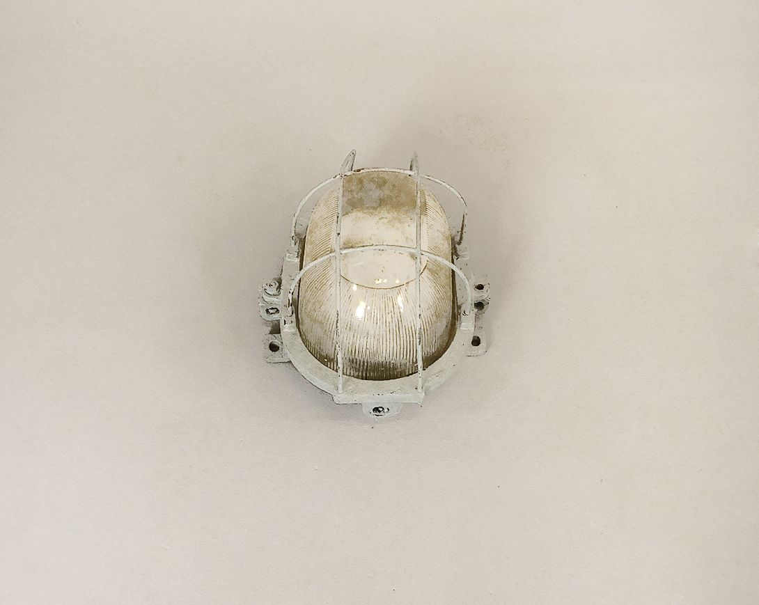 Foto Industrial Metal Caged Turtle Wall Lamp h30