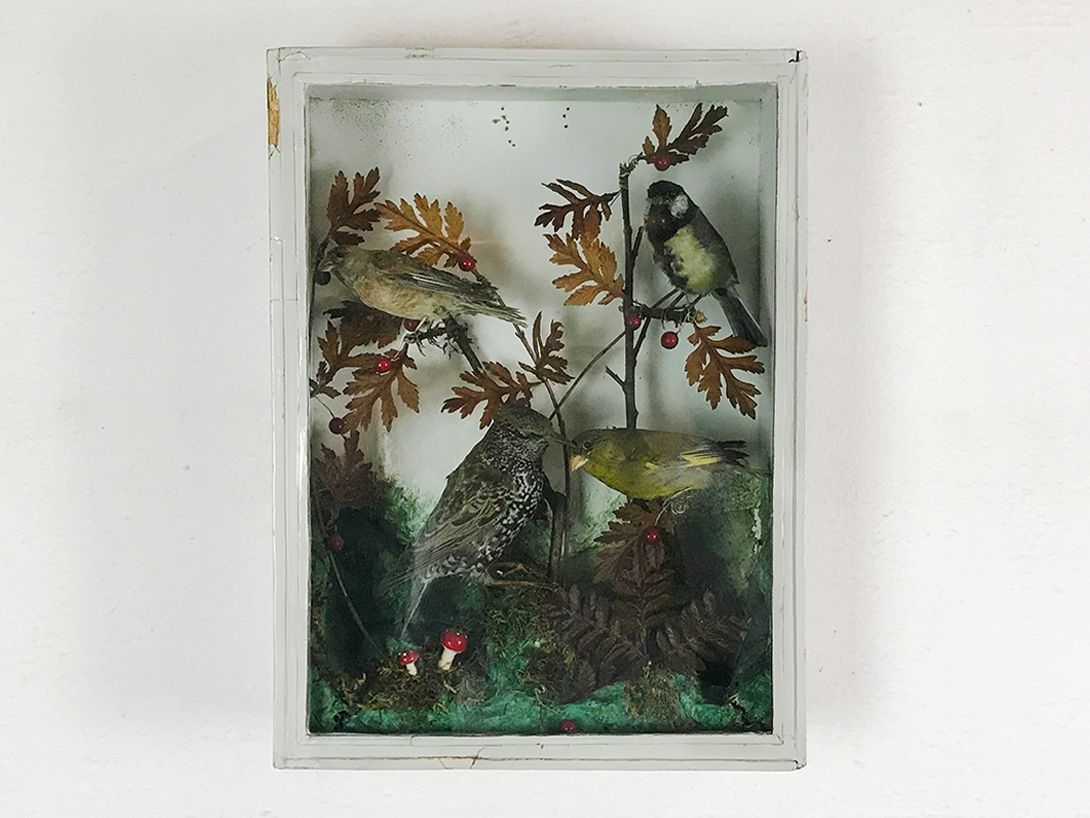 Foto Panopticon with Birds h42x31x12