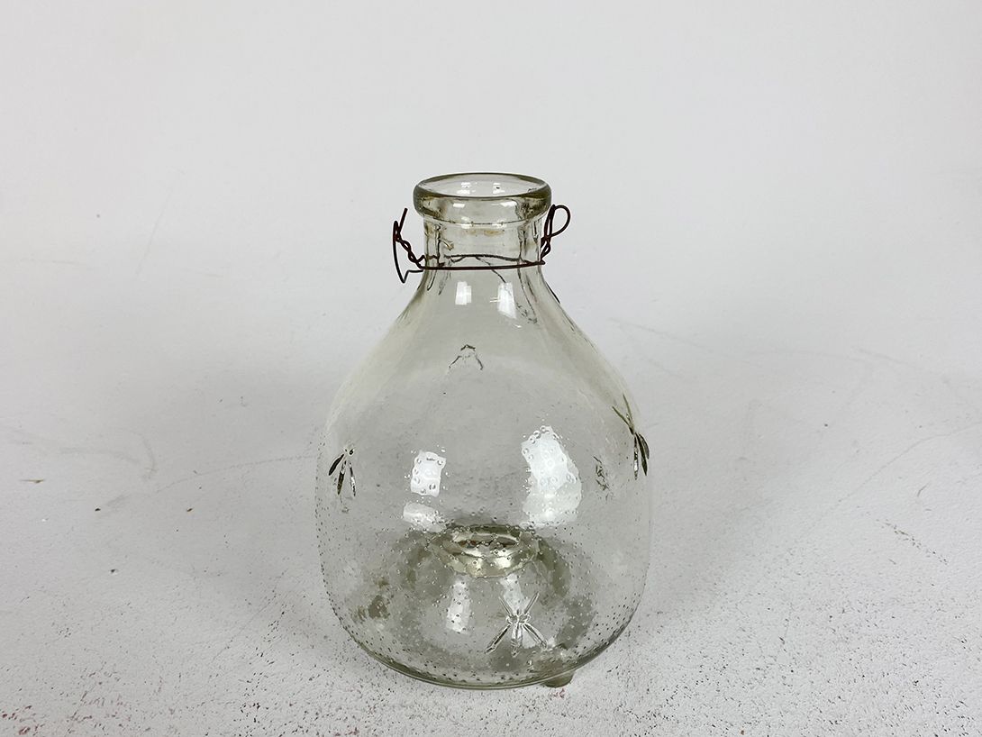Foto Glass Jar Fly Trap