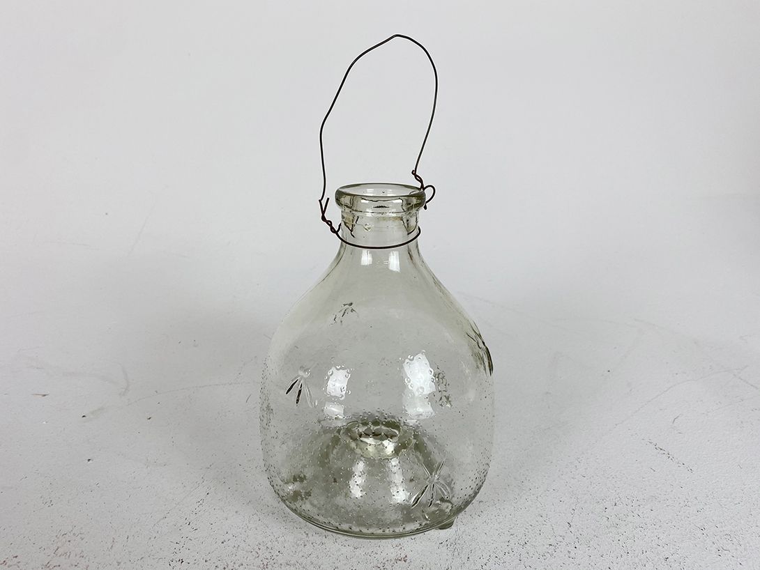 Foto Glass Jar Fly Trap