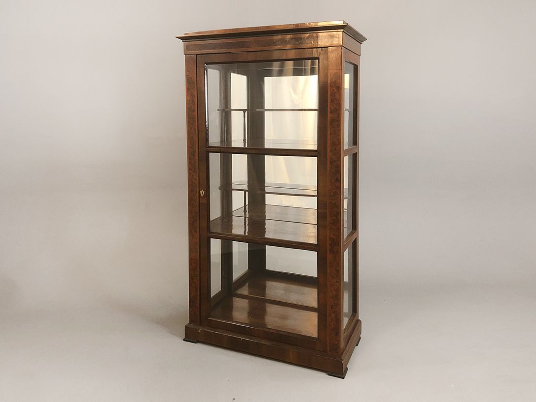 Foto Vitrine Showcase Display Cabinet Biedermeier Frankfurt 1840 h176