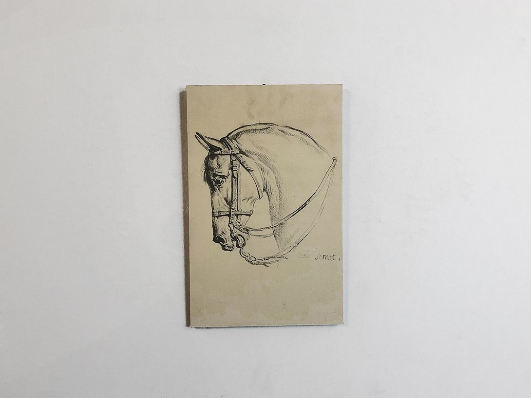 Foto Detailed Pencil Drawing of a Horse h47 24C15