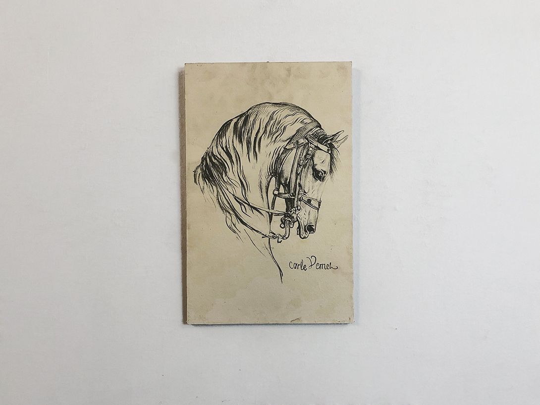 Foto Detailed Pencil Drawing of a Horse h47 24C16