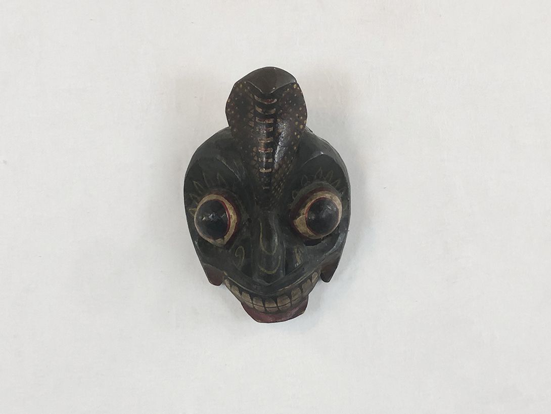 Foto Intimidating Googly Eyed Mask with Cobra