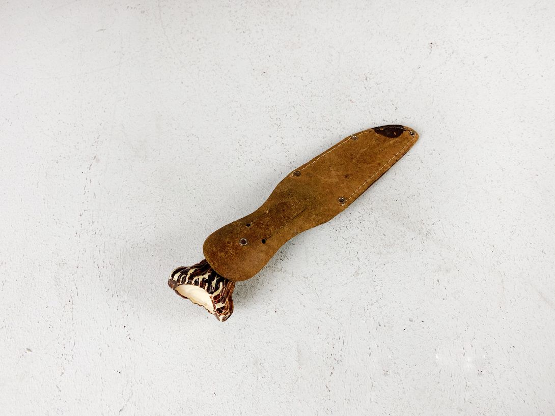 Foto Hunting Knife With Leather Sheath