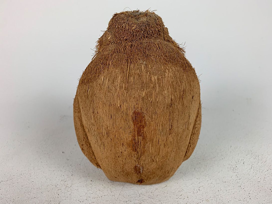 Foto Monkey Sculpture Coconut Carving h20