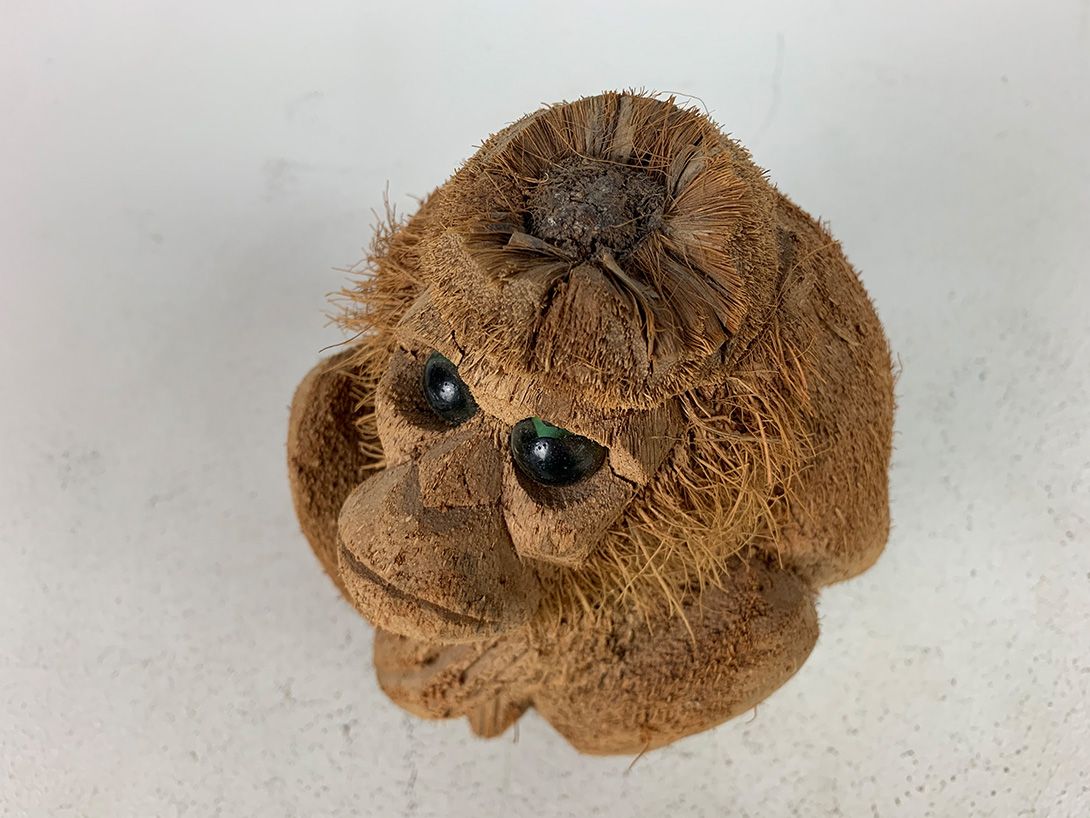 Foto Monkey Sculpture Coconut Carving h20