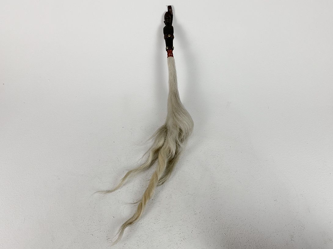 Foto African Horse Tail