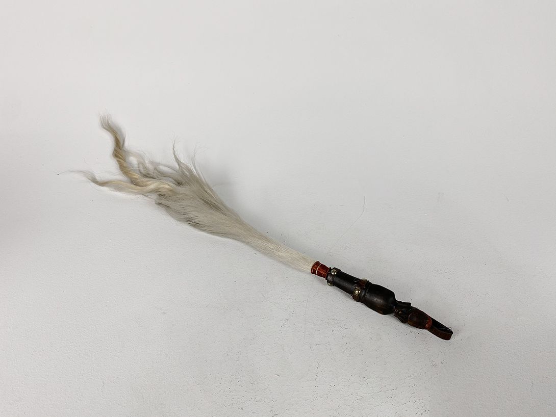 Foto African Horse Tail