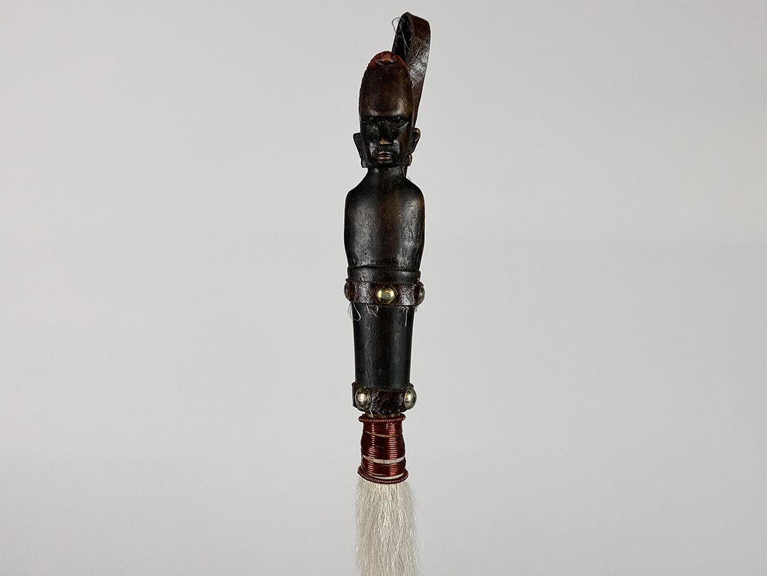 Foto African Horse Tail