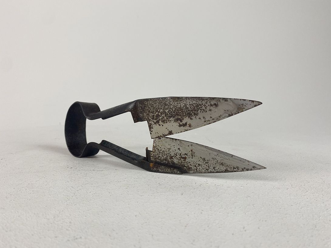 Foto Antique Shearing Scissors 26cm