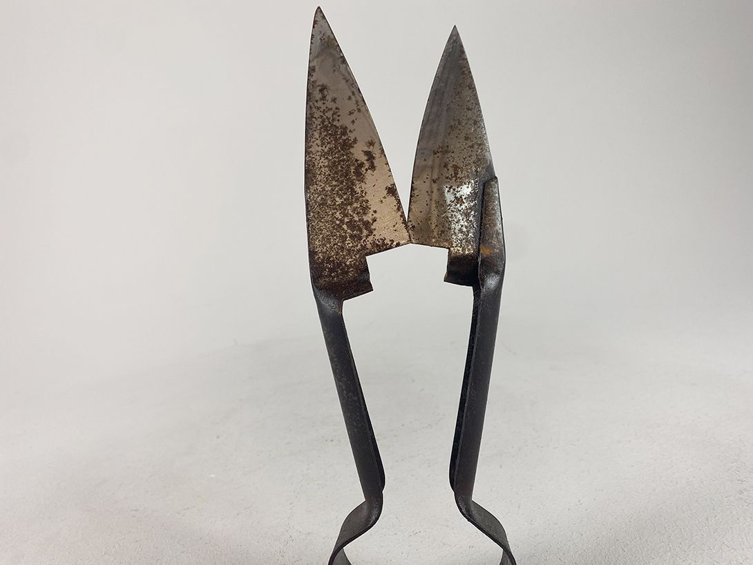 Foto Antique Shearing Scissors 26cm