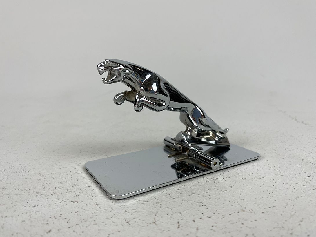 Foto Chrome Jaguar Paperclip