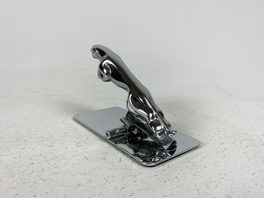 Foto Chrome Jaguar Paperclip