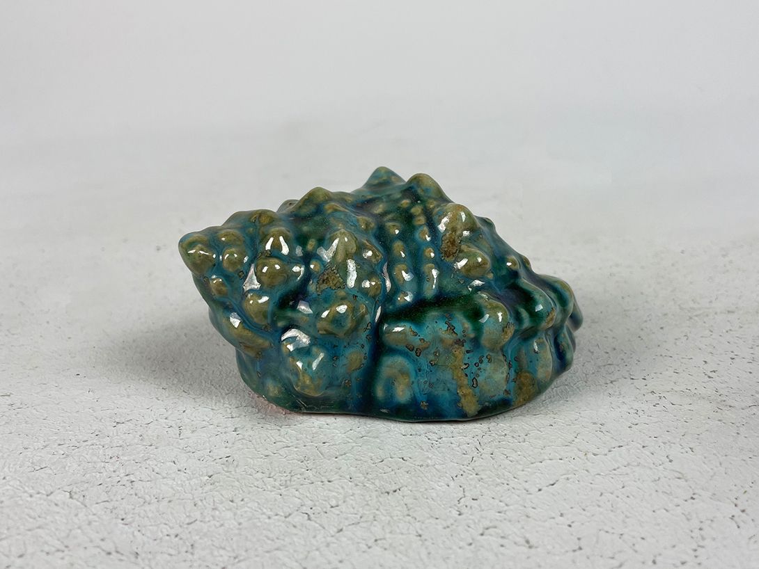 Foto Turquoise Wall Decor Shells