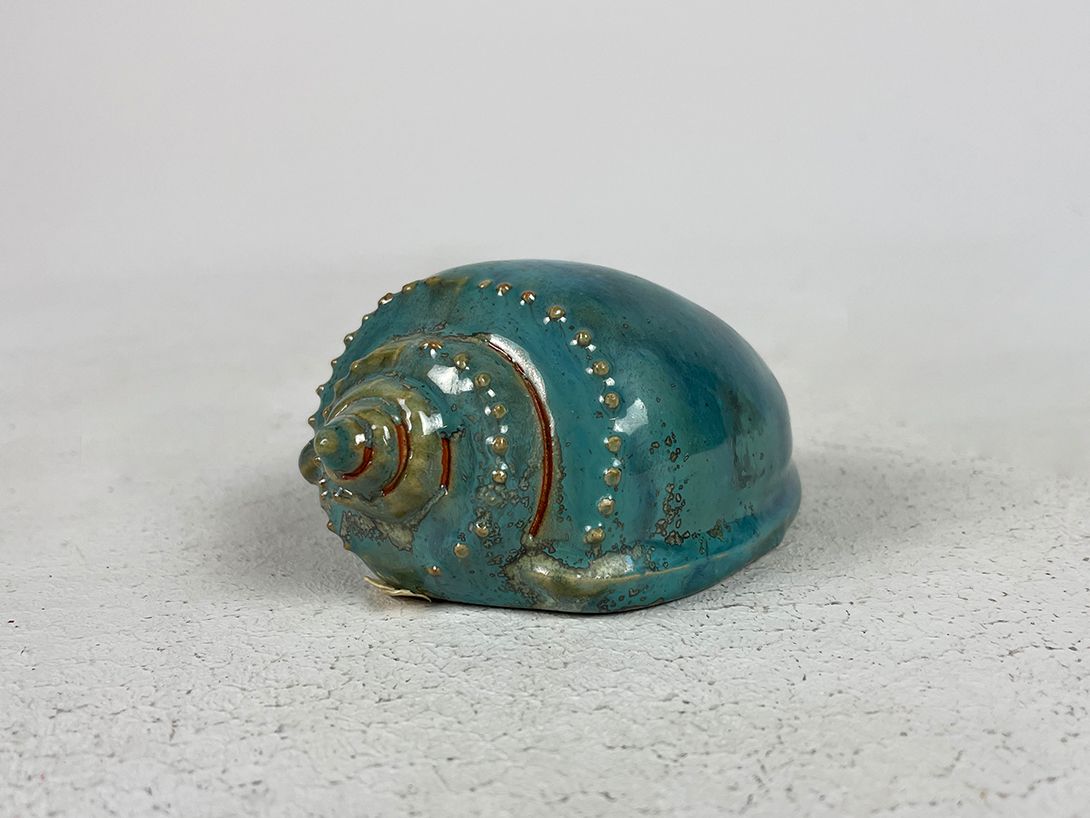 Foto Turquoise Wall Decor Shells