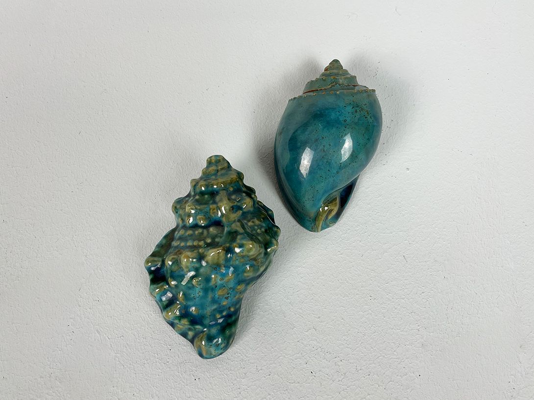 Foto Turquoise Wall Decor Shells