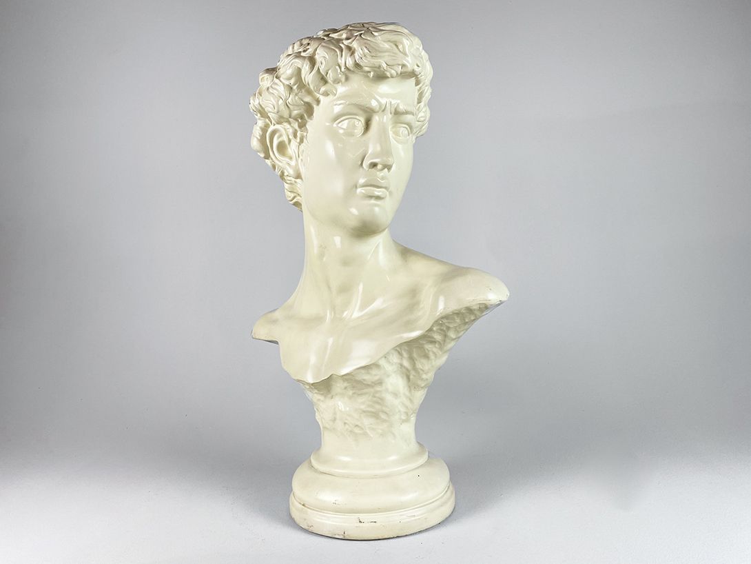 Foto Bust of David