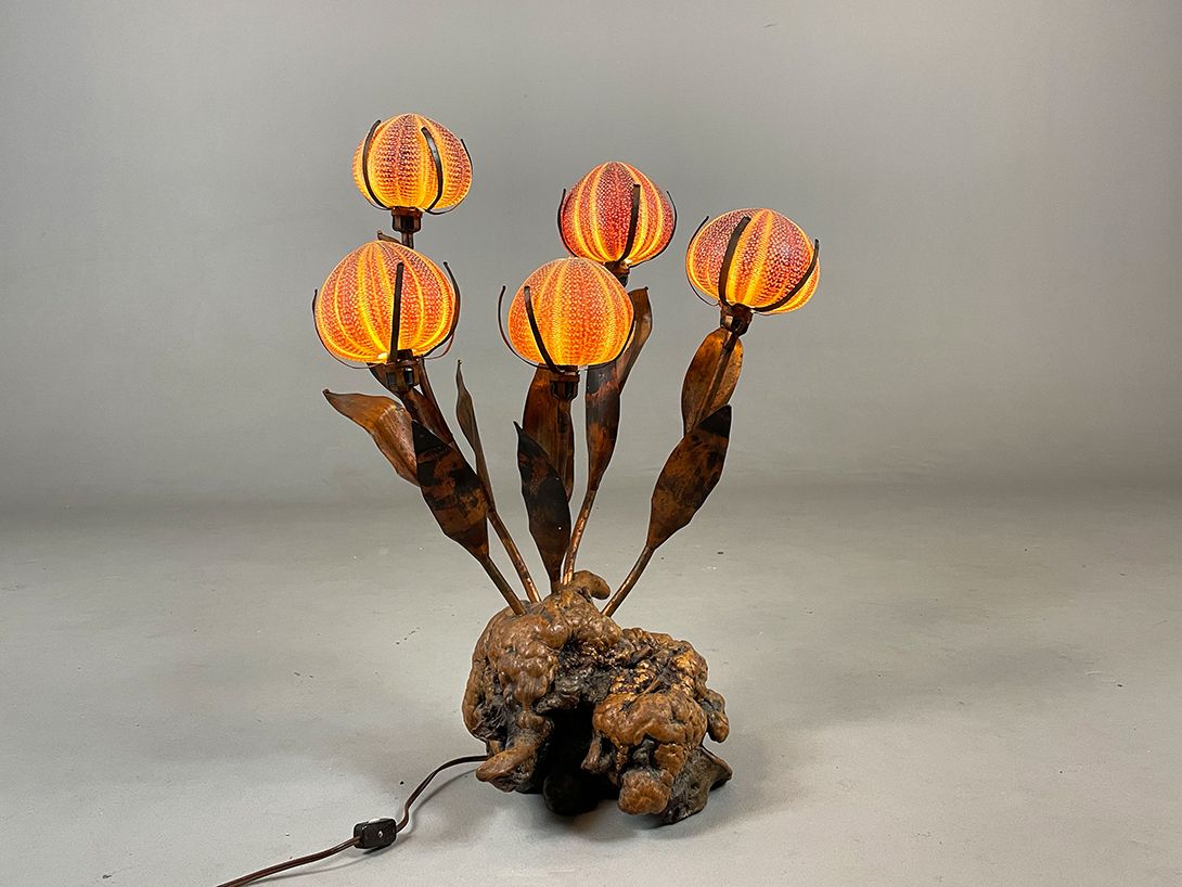 Foto Gloomy Ocean Urchin Lamp h62