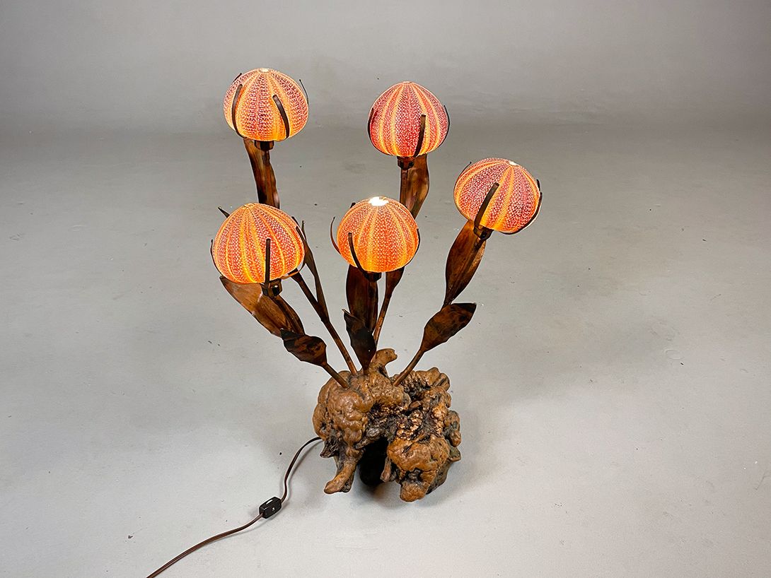 Foto Gloomy Ocean Urchin Lamp h62