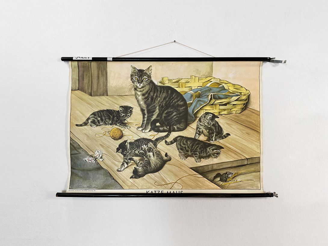 Foto Austrian School Poster of Cats and Mouses h70