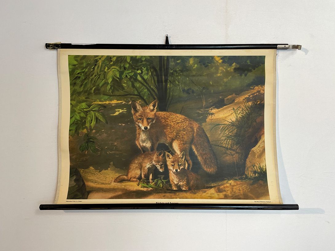 Foto German School Poster of a Vixen with Cubs, Stuttgart 1959 w96