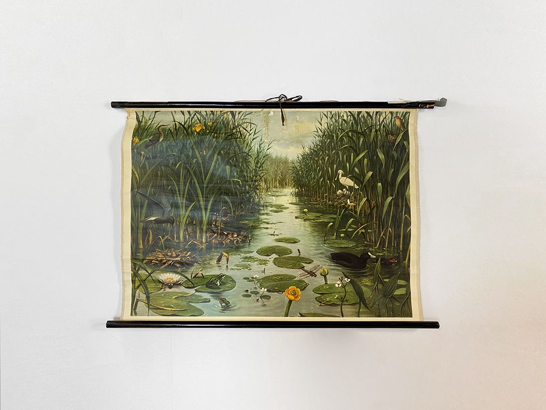 Foto German School Poster of Berlin Marshland h63