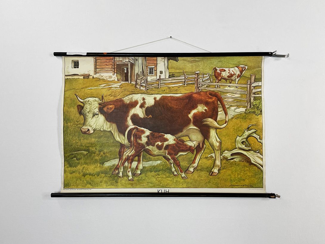 Foto Austrian School Poster of a Cowshed, 1955 h70