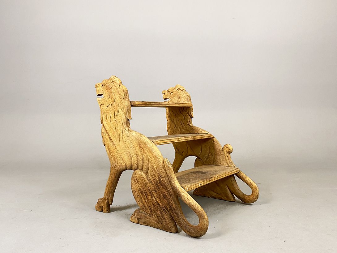 Foto Wooden Carved Lion Library Ladder