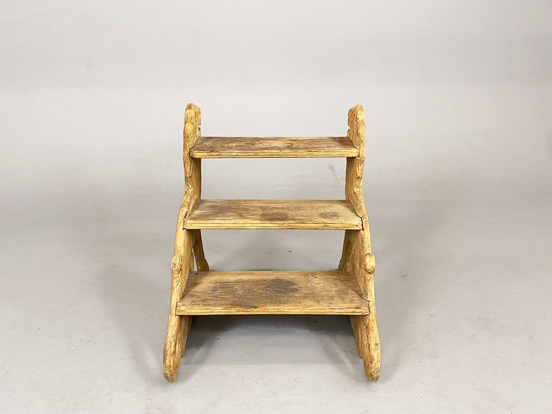 Foto Wooden Carved Lion Library Ladder