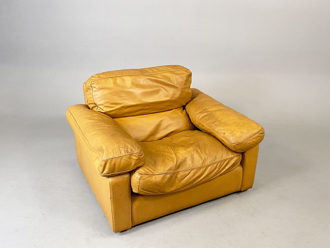 Foto Caramel Leather Poltrona Frau Armchair