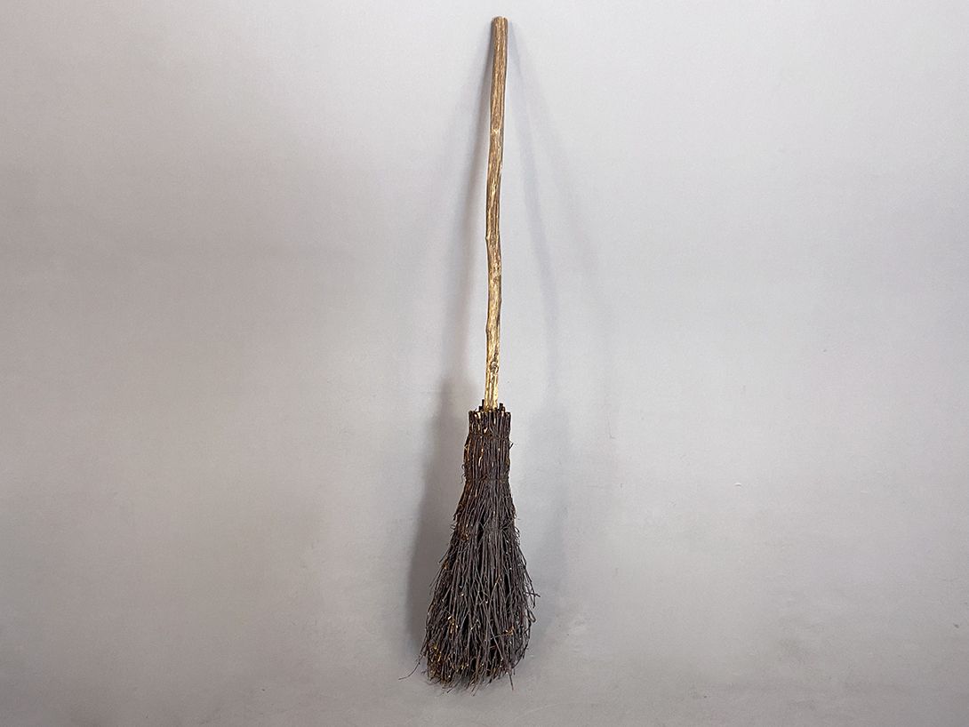 Foto Witches Bristle Broom h123
