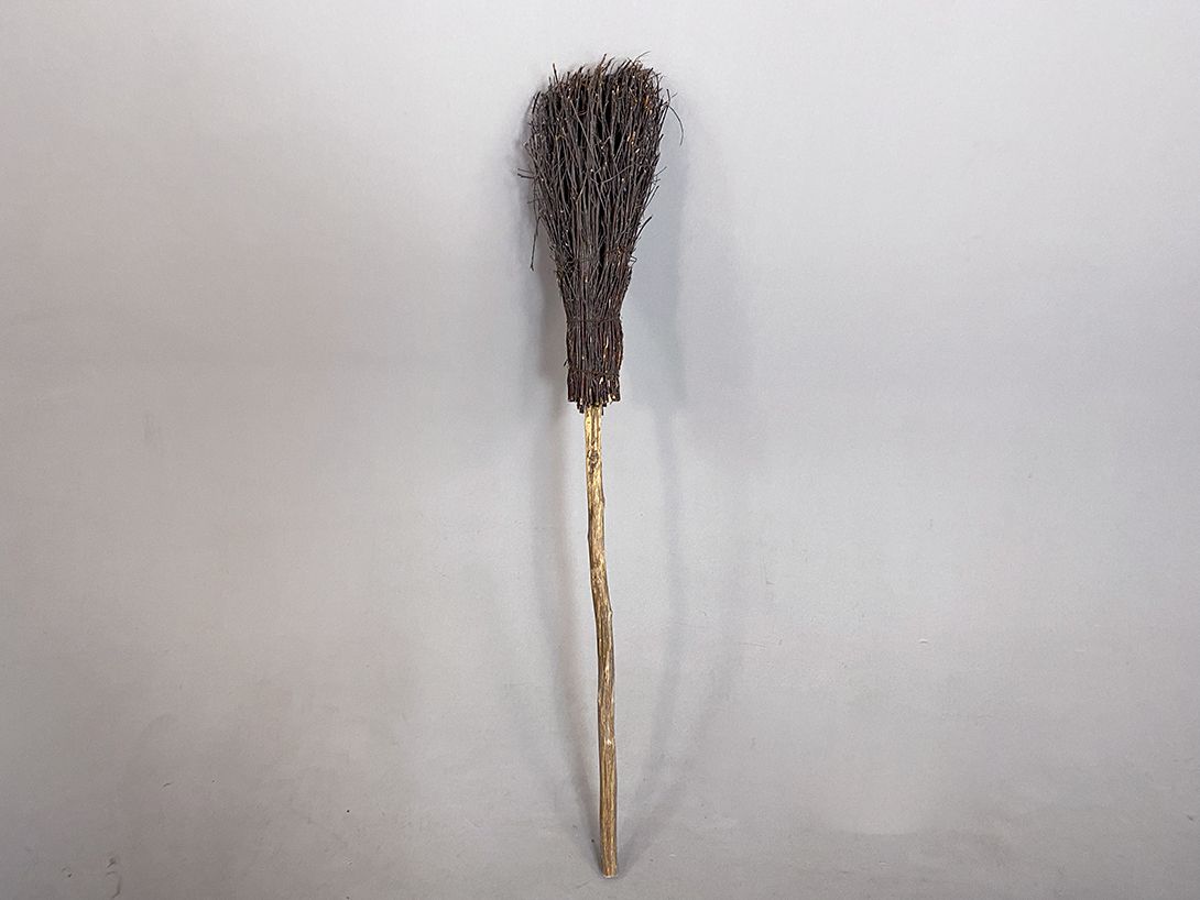 Foto Witches Bristle Broom h123