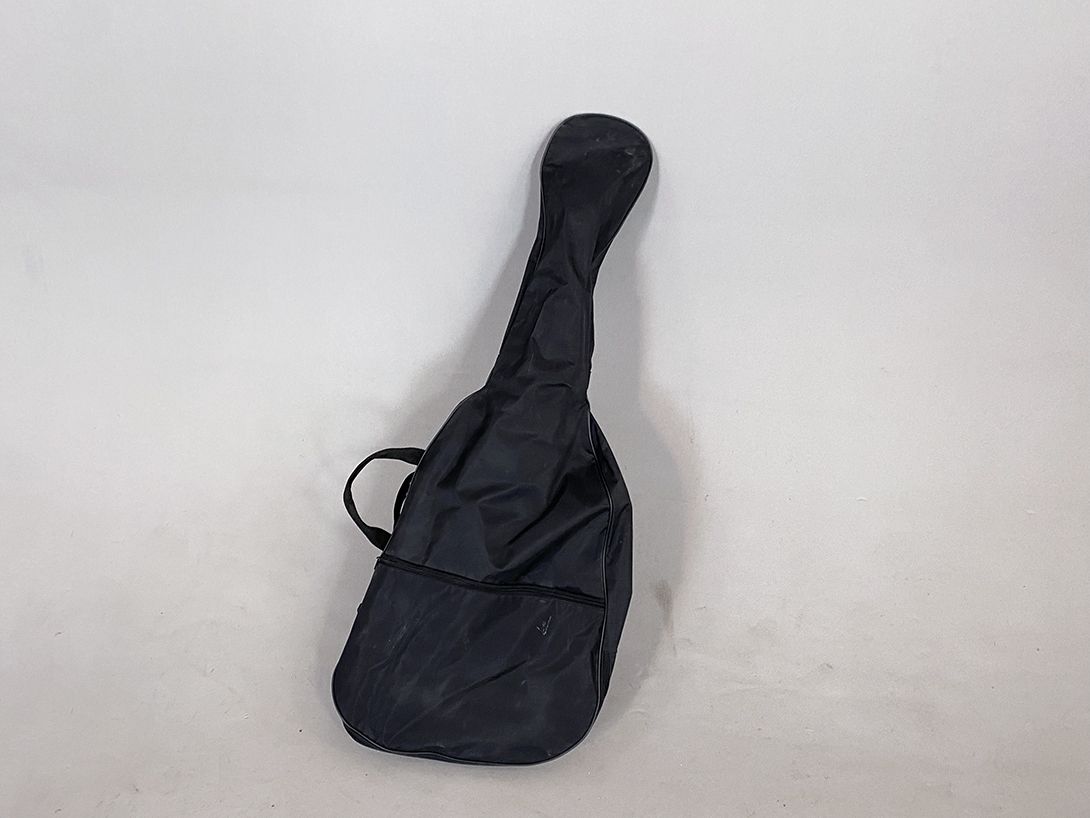 Foto Japanese Electric Guitar h110