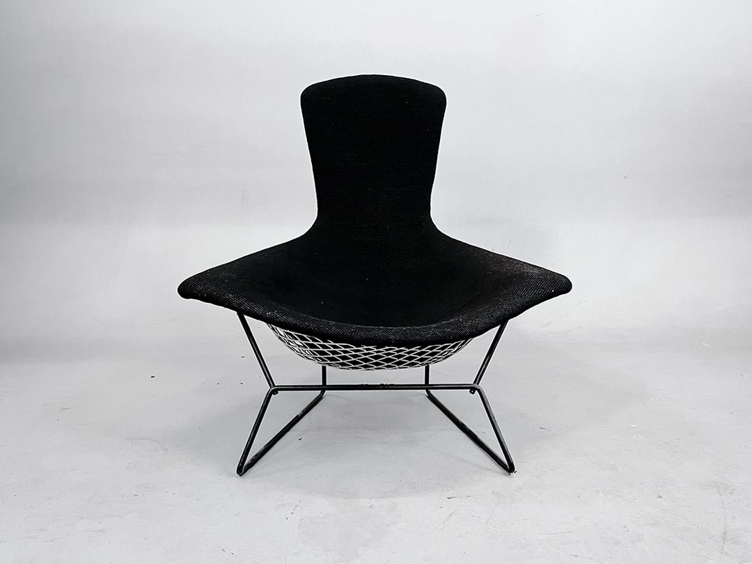 Foto Black Bertoia Bird Chair
