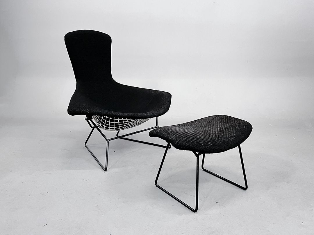 Foto Black Bertoia Bird Chair