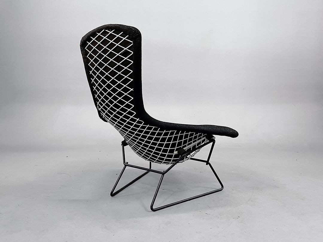 Foto Black Bertoia Bird Chair