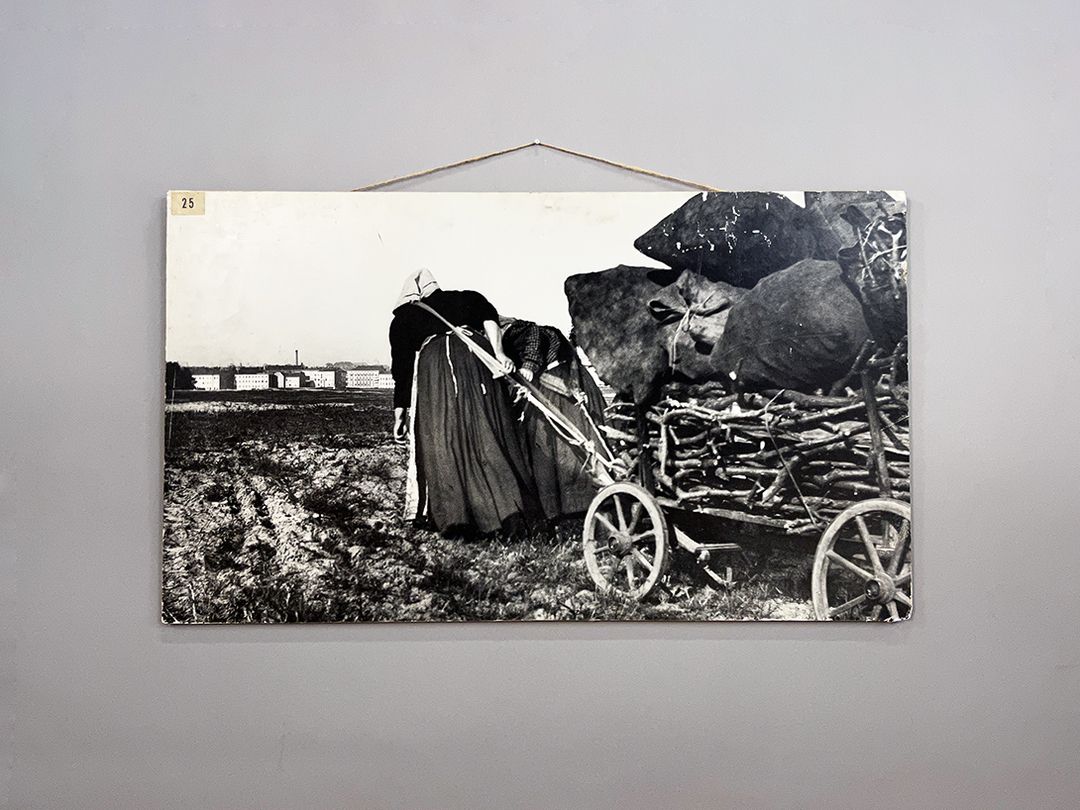 Foto BW Photography of a Woman on a Field, Grunewald, Berlin h66x120 X5